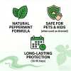 🌿Natural Peppermint Rodent Repellent Balls (12 Pack) 🚫Keep Rats, Mice & Pests Away Safely✅