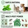 🌿Natural Peppermint Rodent Repellent Balls (12 Pack) 🚫Keep Rats, Mice & Pests Away Safely✅