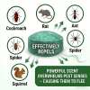 🌿Natural Peppermint Rodent Repellent Balls (12 Pack) 🚫Keep Rats, Mice & Pests Away Safely✅